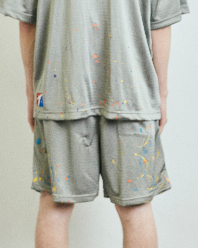 PAINTED WXXDER IN MESH SHORTS GREY