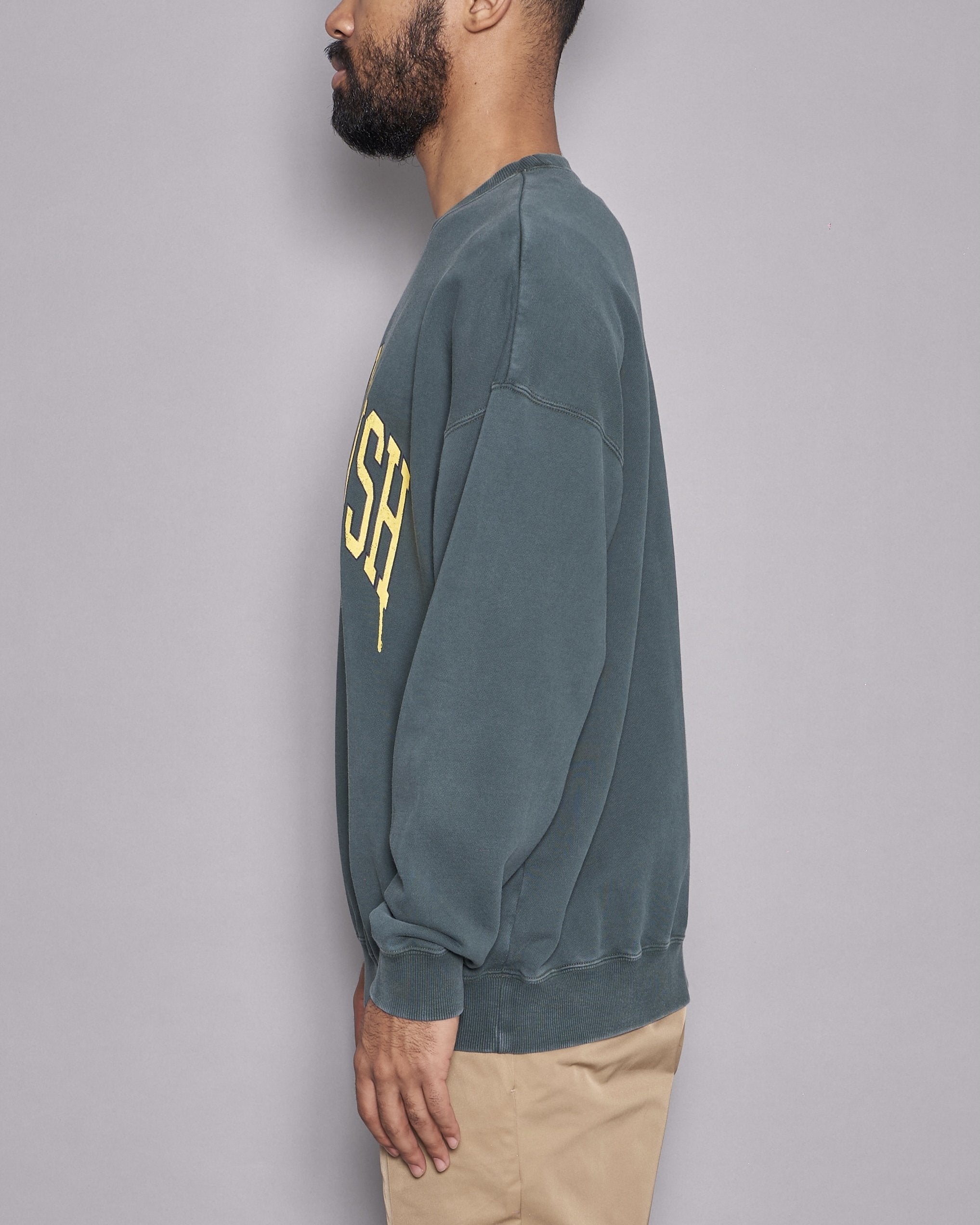 DOUBLE PUSH HEAVY CREW SWEAT GREEN – TAIN DOUBLEPUSH