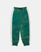 HANGOVER PAISLEY EASY PANTS GREEN